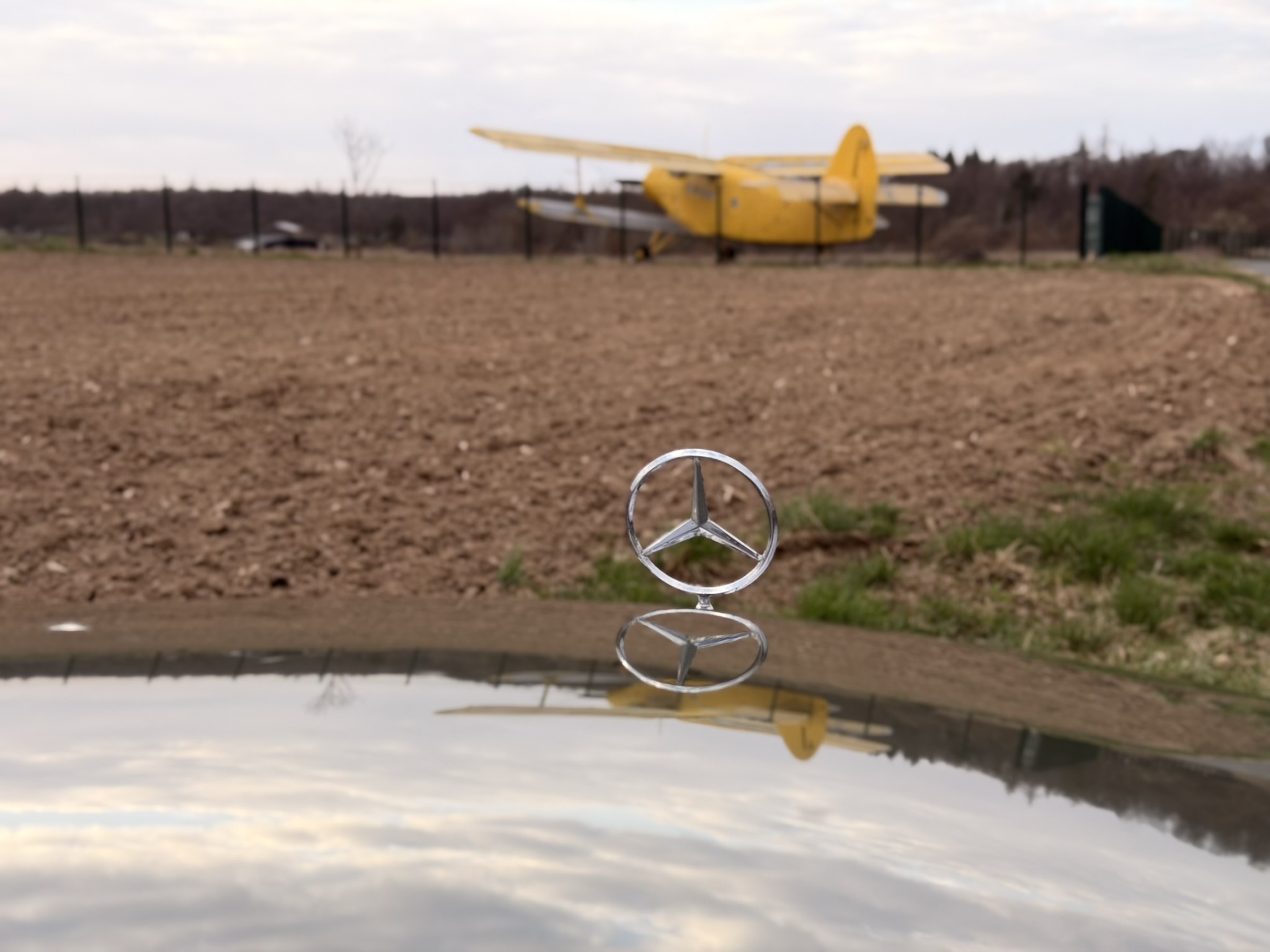 Mercedes 230E - Svadba